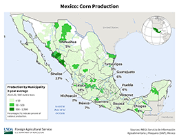 images\MX\Municipality\Mexico_Corn_preview.png